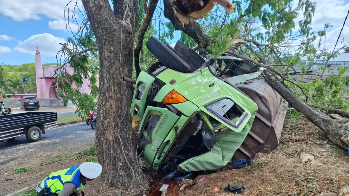 LAKA LANTAS: Petugas memeriksa kondisi truk Hino Ranger 500 yang menabrak pohon di Jalibar kemarin (23/7).