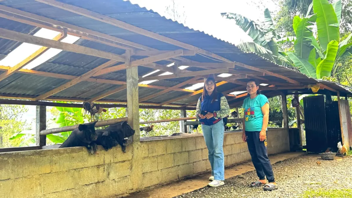 Susuri Pegunungan Toraja Utara, Mantri BRI Perluas Akses Perbankan hingga Pelosok Desa