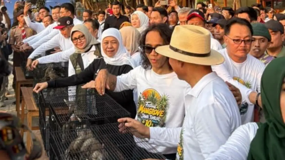  SINERGI: Pertamina Patra Niaga Fuel Terminal (FT) Tuban menunjukkan komitmennya dalam menjaga kelestarian ekosistem pesisir melalui dukungan pada penyelenggaraan Festival Mangrove Jawa Timur ke-10 yang diselenggarakan Pemerintah Provinsi Jawa Timur.