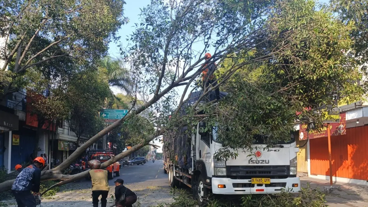 BENCANA MELANDA: Tim BPBD Kabupaten Malang mengevakuasi pohon tumbang di Jalan Raya Ahmad Yani, Kepanjen.