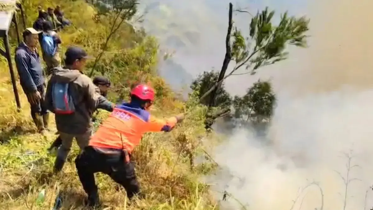 Petugas gabungan berjibaku memadamkan karhutla di kawasan Gunung Bromo, Kamis (6/8). (Sumber: istimewa)