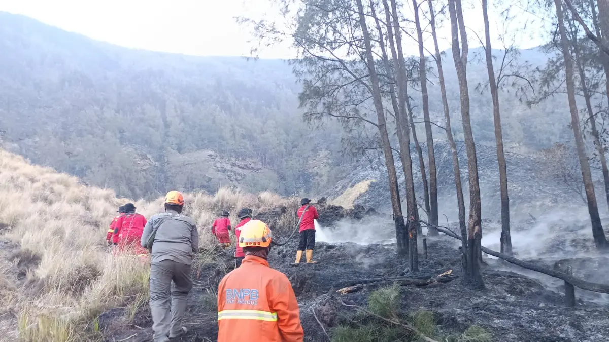 Kondisi lahan di Gunung Bromo yang terbakar. (BPBD Kabupaten Malang)
