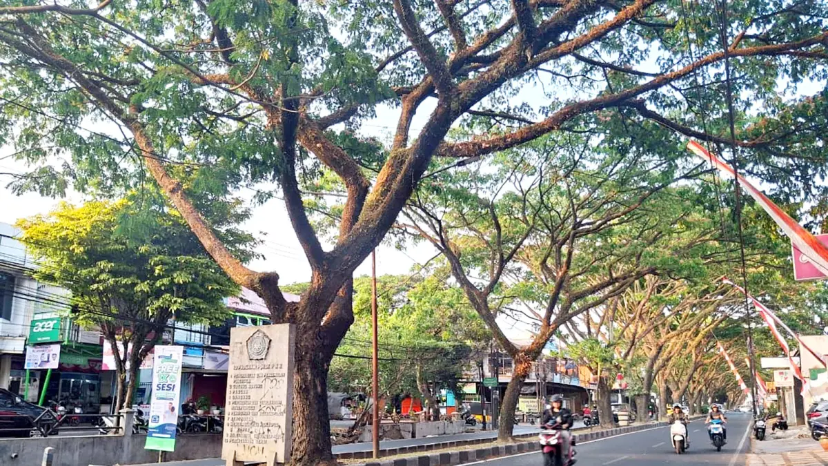 SIAPKAN BEBERAPA OPSI: Pemkot berencana menambah luas RTH. Salah satu yang dilirik yakni median di Jalan Danau Toba, Kelurahan Sawojajar, Kedungkandang. Foto: Nabila Amelia/Radar Malang
