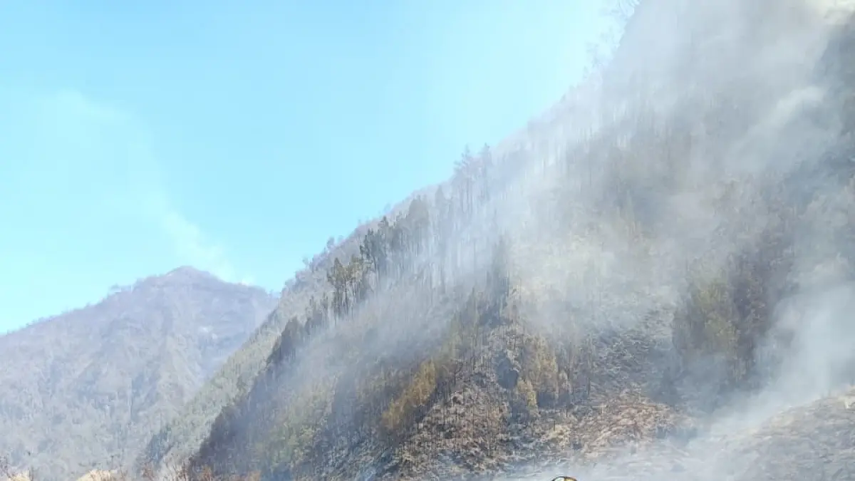Tim gabungan memadamkan kobaran api di kawasan Gunung Bromo