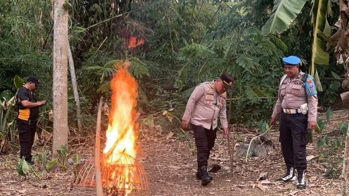 Sarana sabung ayam dibakar polisi