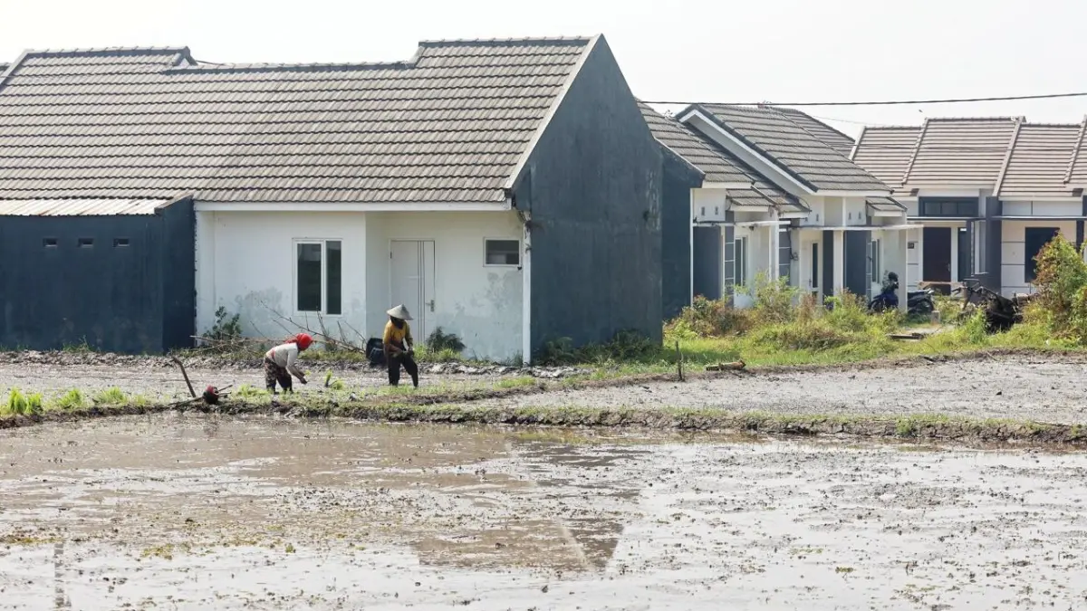 LAHAN TERBATAS: Salah satu perumahan di Kelurahan Bandulan, Kecamatan Sukun berbatasan langsung dengan area persawahan. (Darmono/Radar Malang)