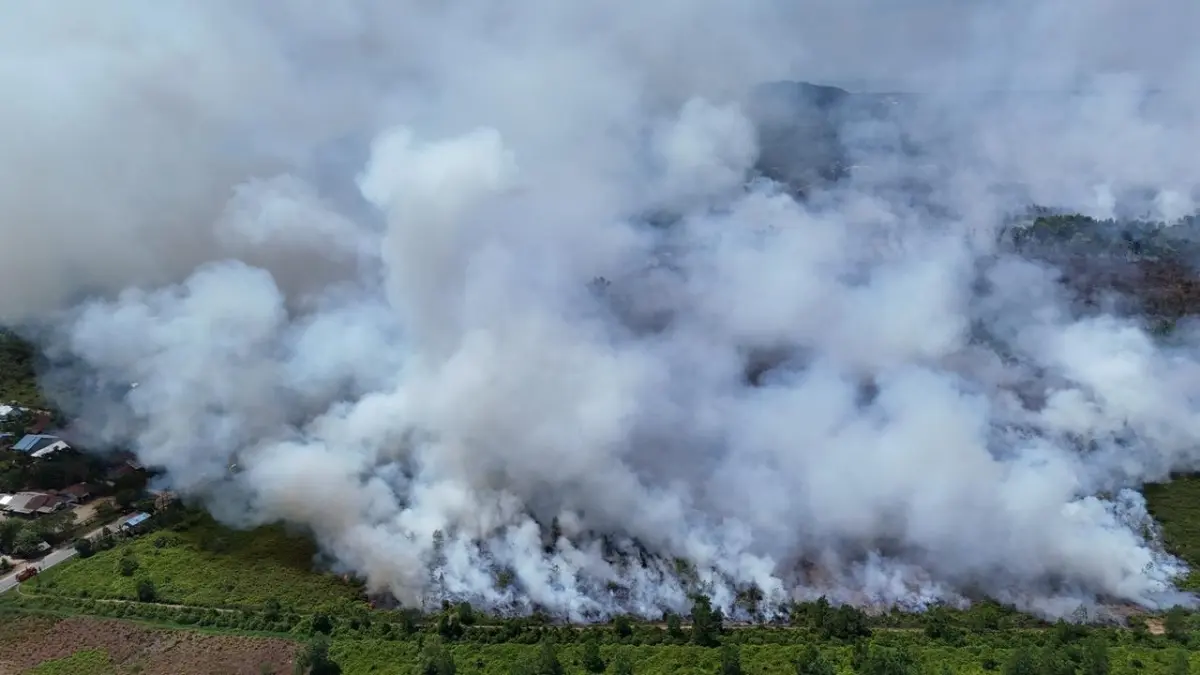 Kepulan asap tebal membubung dari kebakaran hutan dan lahan (karhutla) yang meluas hingga puluhan ribu hektare di wilayah Kalimantan Barat. (Foto: Dok. Pontianak Post)