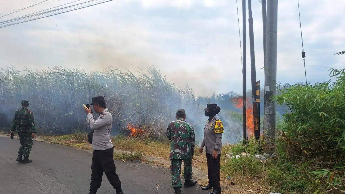 TNI dan Polisi memadamkan api yang membakar lahan tebu