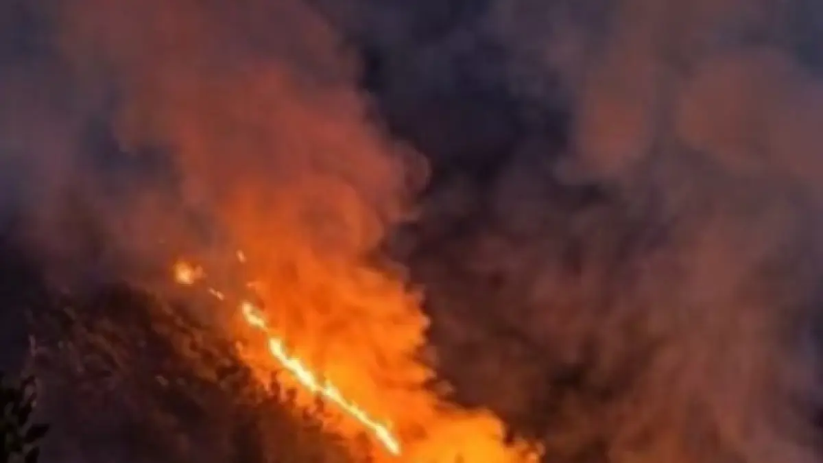 Kebakaran hutan terjadi di Blok Ranu Kembang, kawasan Taman Nasional Bromo Tengger Semeru (TNBTS), Rabu (26/8). Peristiwa ini membuat jalur pendakian Gunung Semeru ditutup total hingga batas waktu yang belum ditentukan. Sumber: Instagram/@ayodolan