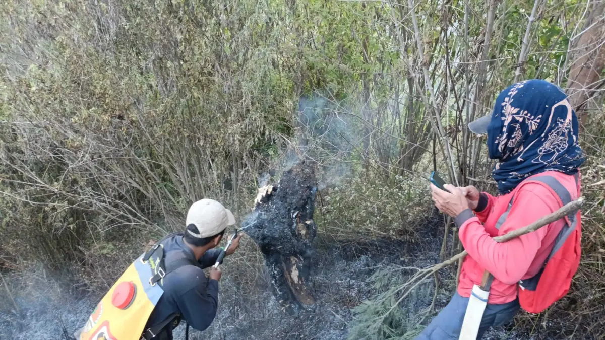 Pemadaman di jalur pendakian Semeru. (Dokumen TNBTS)
