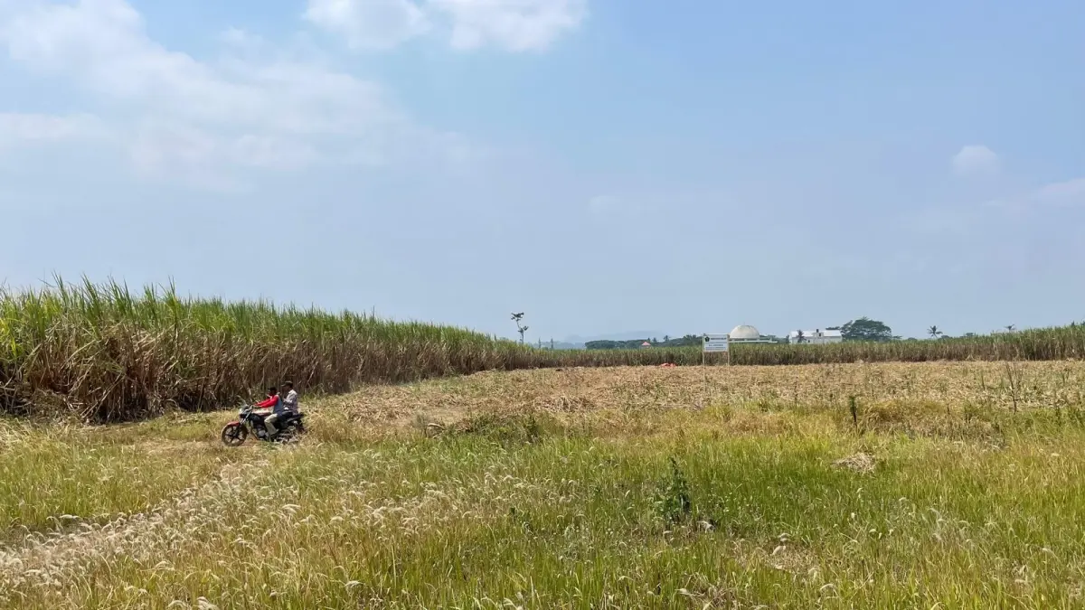 BELUM CUKUP: Lahan milik Pemkot Malang di Kelurahan Arjowinangun diusulkan menjadi lokasi pembangunan gedung Sekolah Rakyat. (Andika Satria Perdana/Radar Malang)