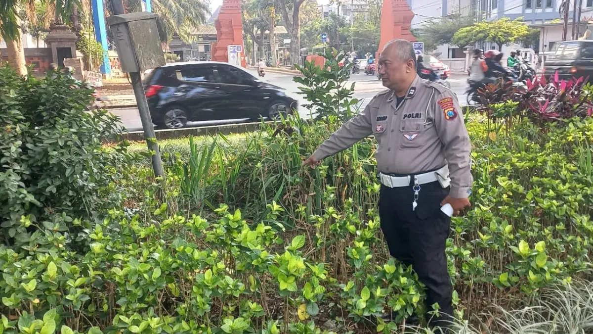 Polisi menunjukkan lokasi warga Wagir yang menabrak median Jalan Veteran. (Satlantas Polresta Malang Kota)