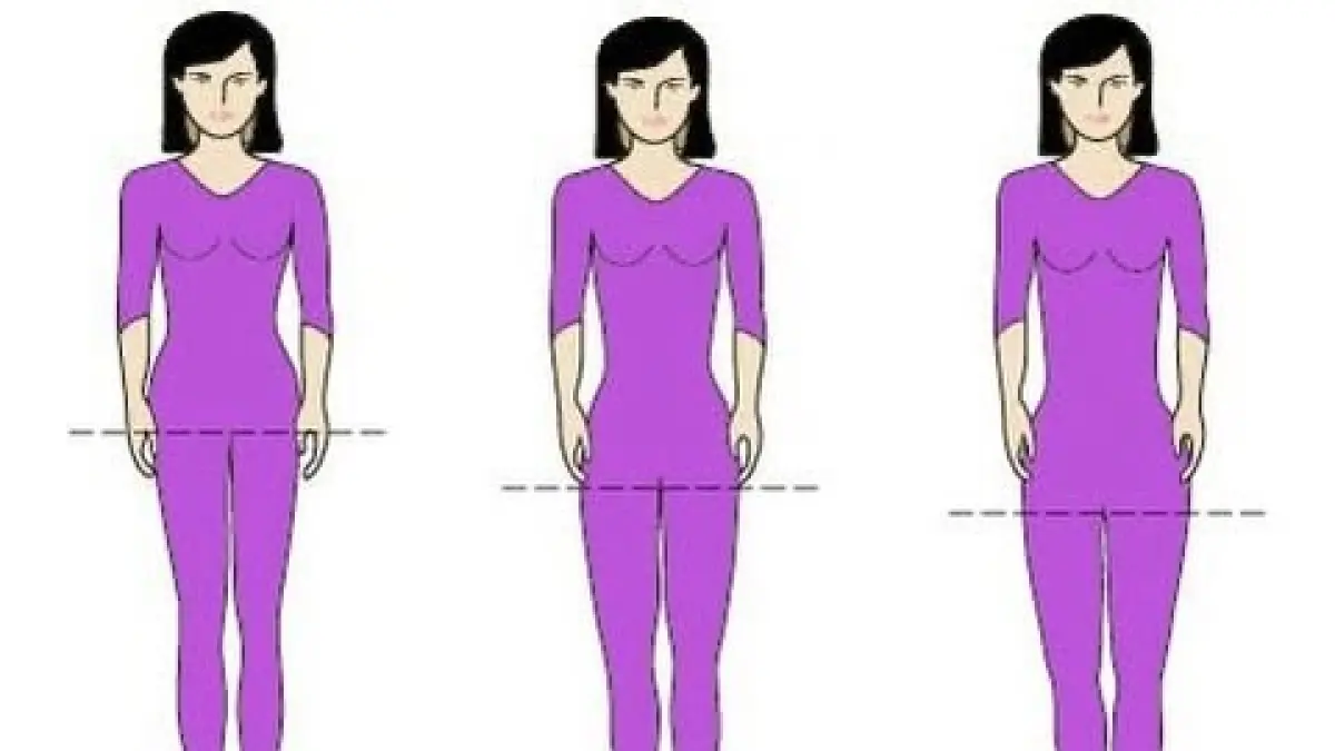 Mengenal short torso, long torso, dan balanced body. Sumber: Pinterest