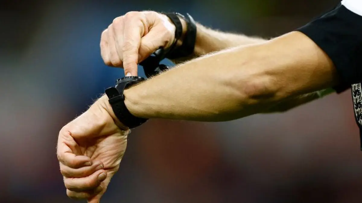 Ilustrasi wasit. Sumber: Pinterest.