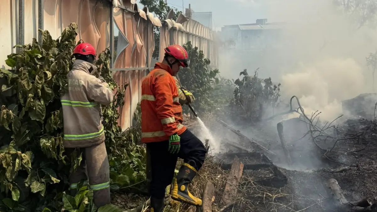 Personel Damkar Kota Malang memadamkan api yang melahap lahan di daerah Jatimulyo, Lowokwaru, Kamis (17/9). (UPT Damkar Kota Malang)