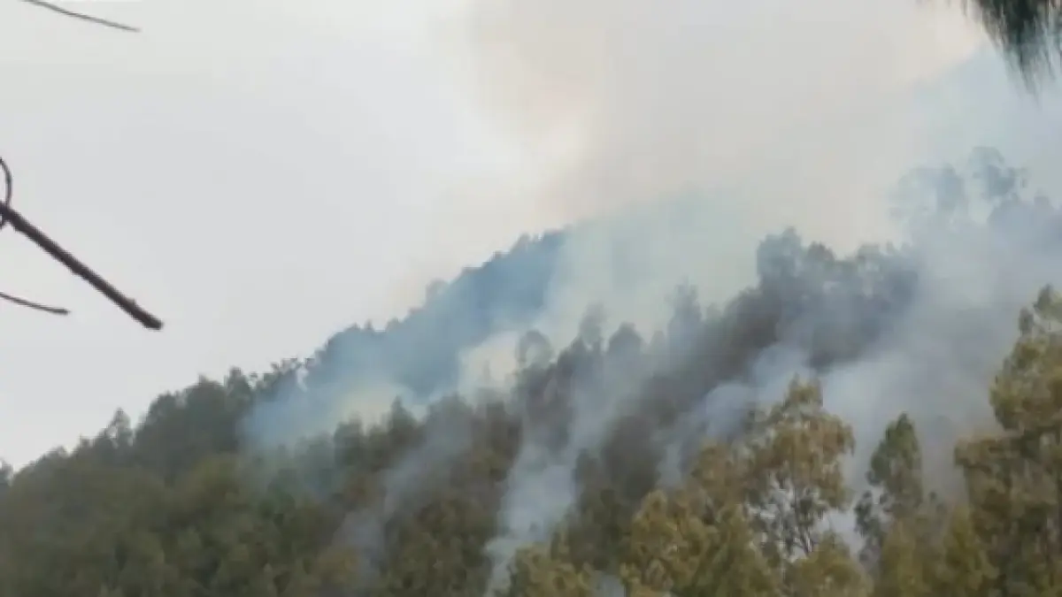 Kebakaran di Gunung Kawi yang terus meluas turut merusak saluran pipa air minum warga, sehingga sejumlah dusun kehilangan akses air bersih. (Dok. Facebook)