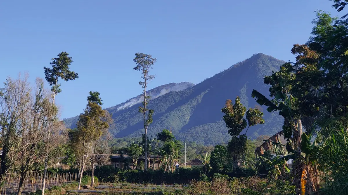 LANGSUNG DIPADAMKAN: Api kembali muncul di kawasan Puncak Batu Tulis, Kecamatan Wagir, Kabupaten Malang, Jawa Timur