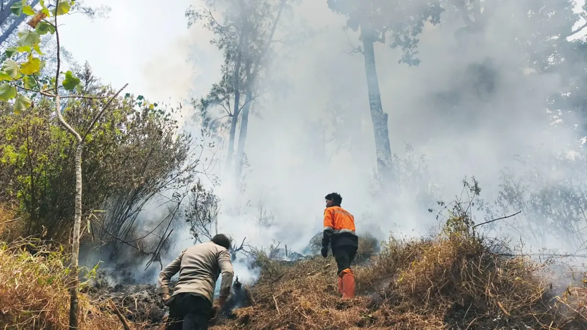 FOKUS JALUR DARAT: Penyekatan manual dilakukan untuk mencegah timbulnya titik api baru di area Gunung Kawi, kemarin. (Perhutani Malang For Radar Malang)