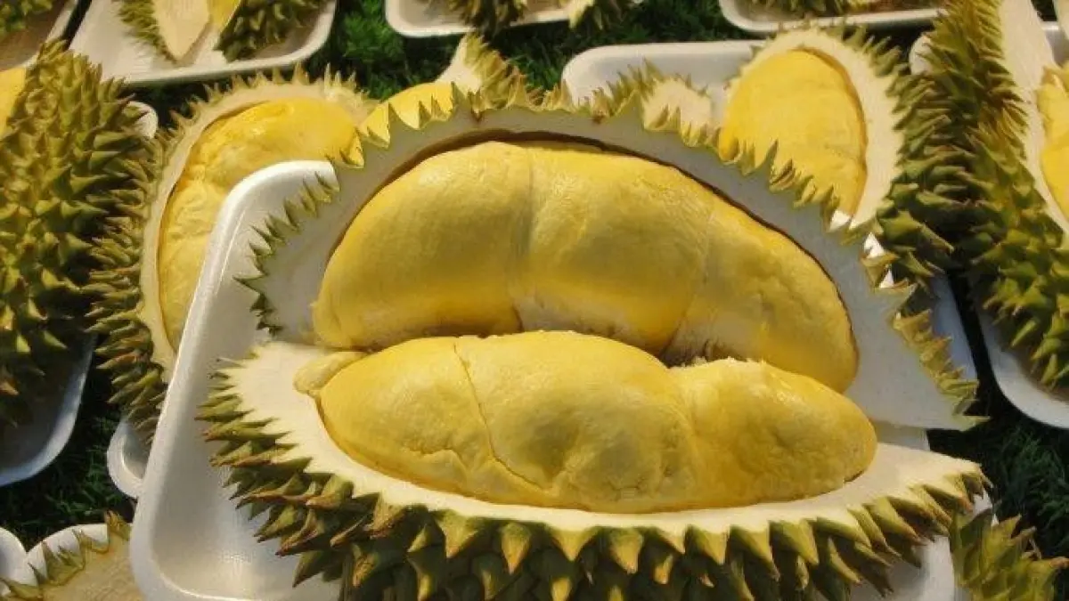 Rekomendasi olahan durian yang tidak akan bikin bosan (sumber: pinterest @Uda ide)
