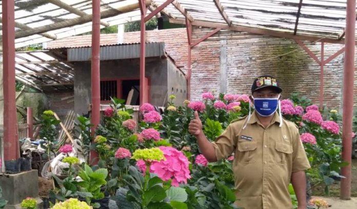 MENGABDI: Kades Tawangsari, Pujon, Kabupaten Malang Miftakul Anwar saat blusukan untuk melihat potensi desa.