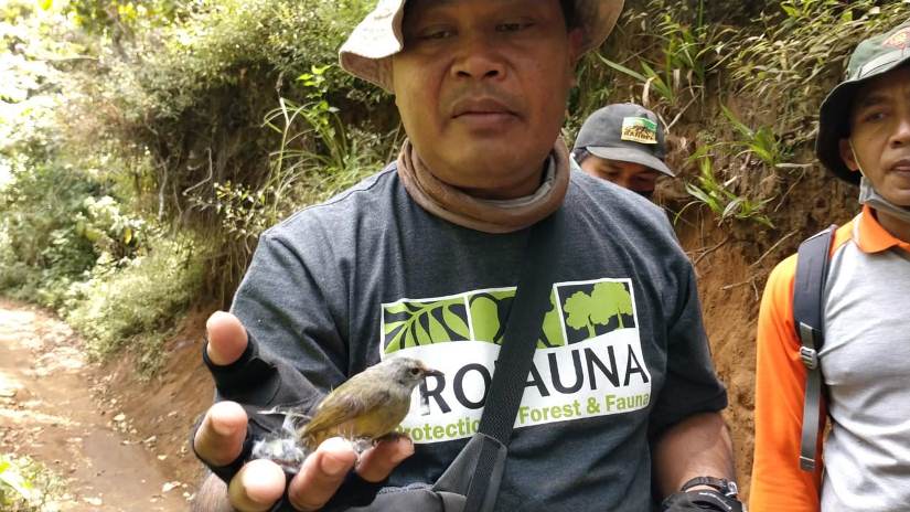 Tim Ranger ProFauna Indonesia menunjukkan barang bukti burung hasil tangkapan pemburu liar di kawasan hutan lindung Gunung Butak. (Istimewa)