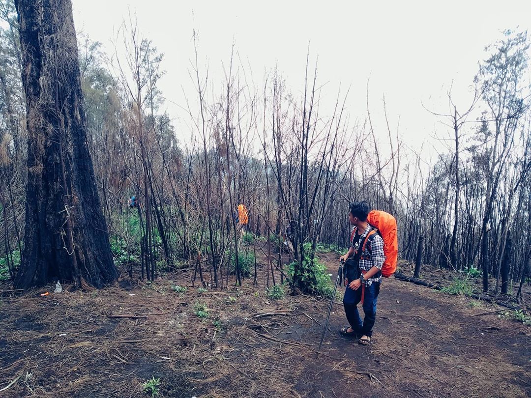 Pendaki sudah mulai meramaikan jalur pendakian gunung di Kota Batu yang sudah dibuka kembali awal September. (Nugraha Perdana/Radar Batu)