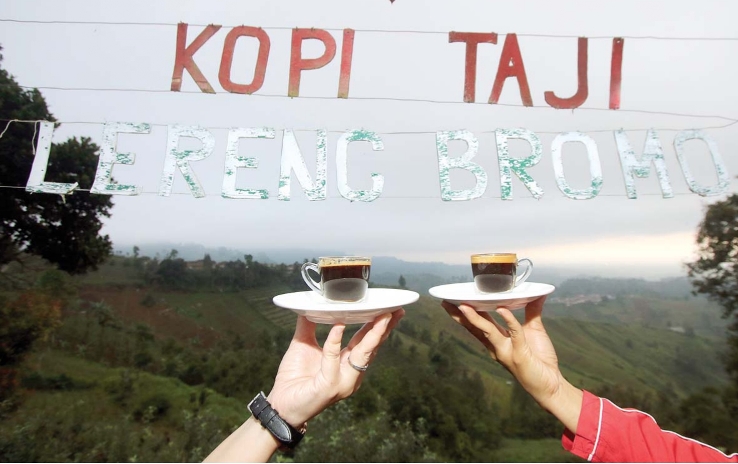Pesona wisata Kopi Taji, destinasi wisata di Desa Taji, Kecamatan Jabung, Kabupaten Malang ini menawarkan suasana alam indah dengan udaranya yang sejuk. Terletak di lereng Gunung Bromo dengan ketinggiian di atas 1.200 mdpl, membuat tempat ini cocok dijadi