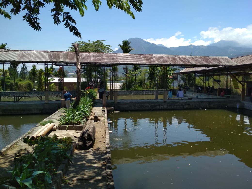Resto Pring Pethuk menyediakan kolam pancing dan fasiltas berkuda bagi pengunjung. (Wildan Agta Affirdausy / Radar Malang)