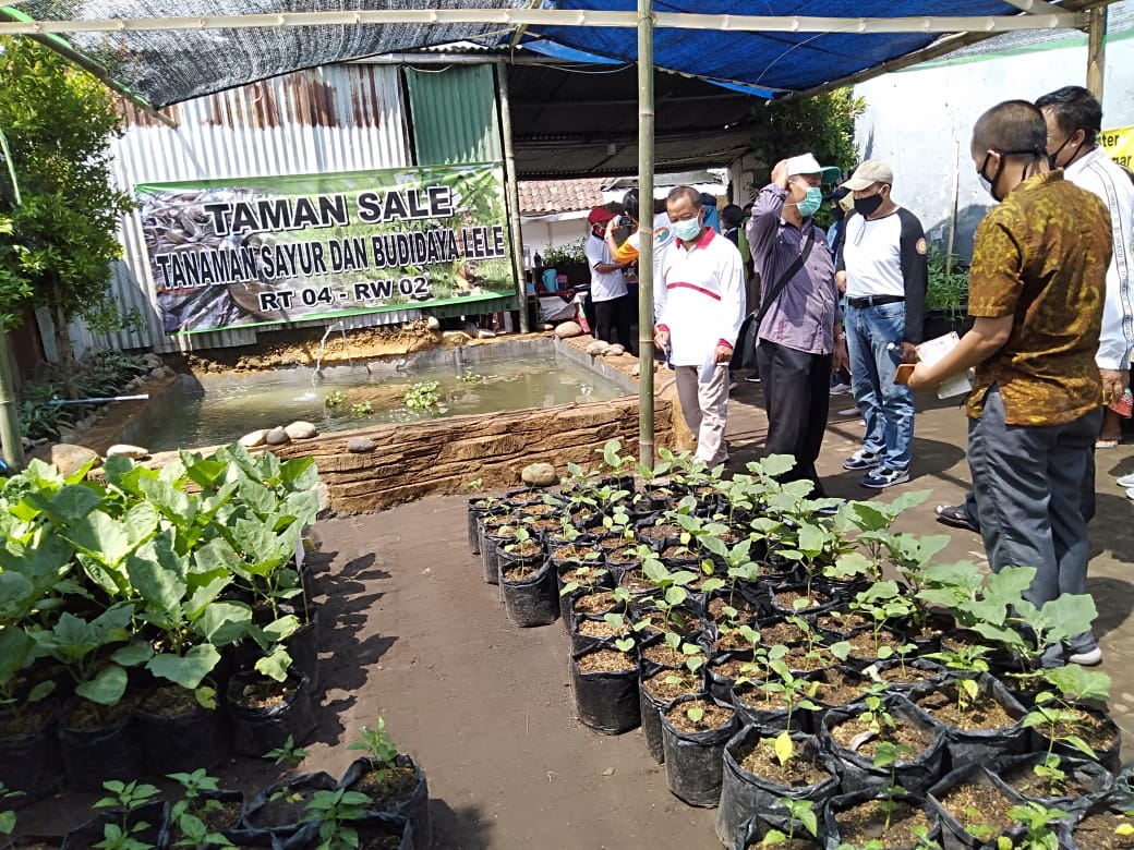 Taman Sale jadi andalan RW 2 Gadingkasri untuk membuat lahan lebih produktif dan ramah lingkungan. (Imam N / Radar Malang)