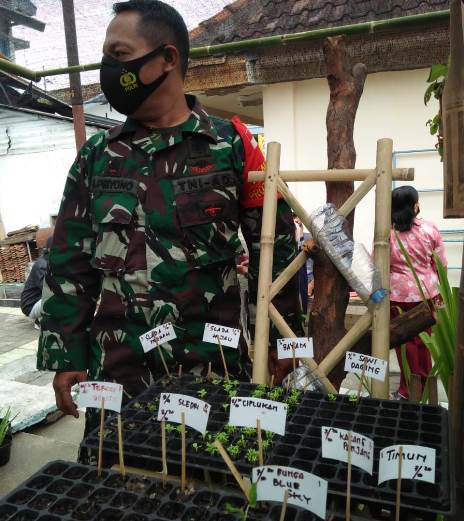 RW 02 Kelurahan Oro-Oro Dowo menyediakan tempat pembibitan tanaman sayuran. (mahmudan/ radar malang)