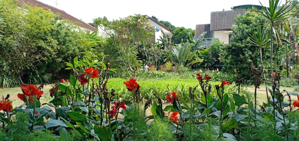 Ruang terbuka hijau memanfaatkan tanah kaplingan milik warga tapi tidak dibangun. (Farik Fajarwati/Radar Malang)