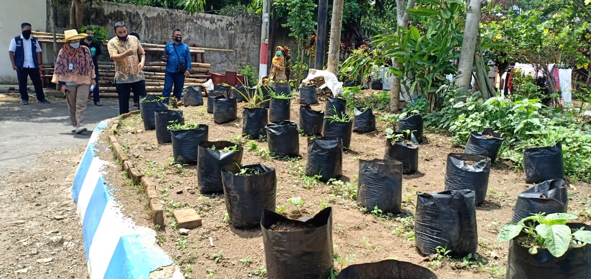 Demi mewujudkan Kampung Durian, tiap warga di RW 7 Karangbesuki menanam 1-2 bibit pohon durian (Farik Fajarwati / Radar Malang)