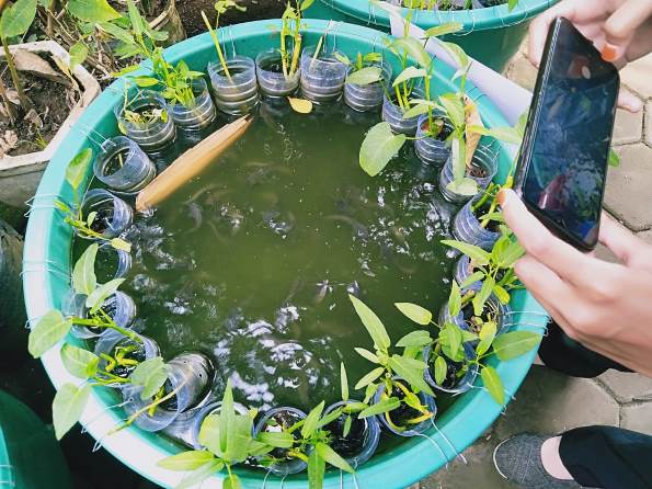 Program budidaya ikan lele dan sayur kangkung dalam satu wadah menjadi program andalan RW 06 Kelurahan Bandungrejosari. (Imam Nasrodin/Radar Malang)
