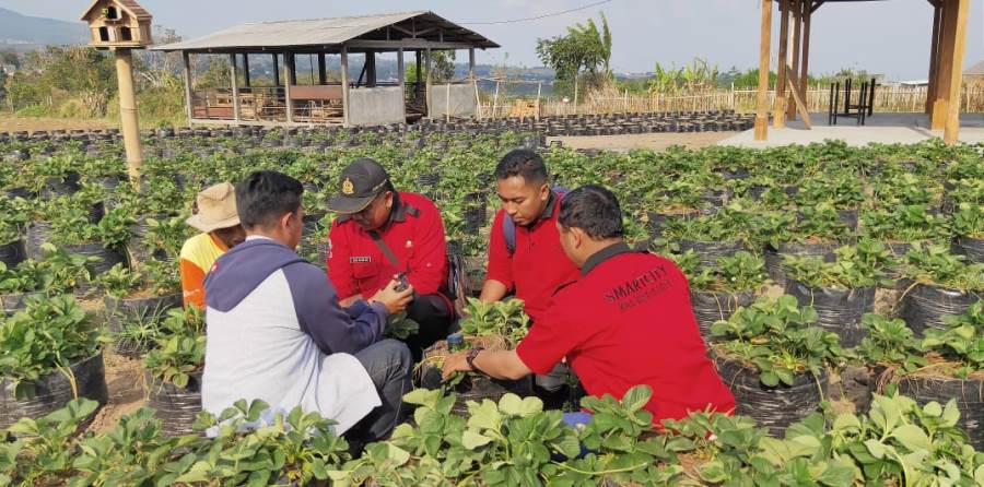 Tim cepat reaksi opini publik (CROP)  Smart City langsung terjun ke lapangan untuk menangani masalah setelah mendapatkan laporan. (Istimewa)