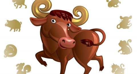 Ilustrasi Shio Kerbau ](Shutterstock)