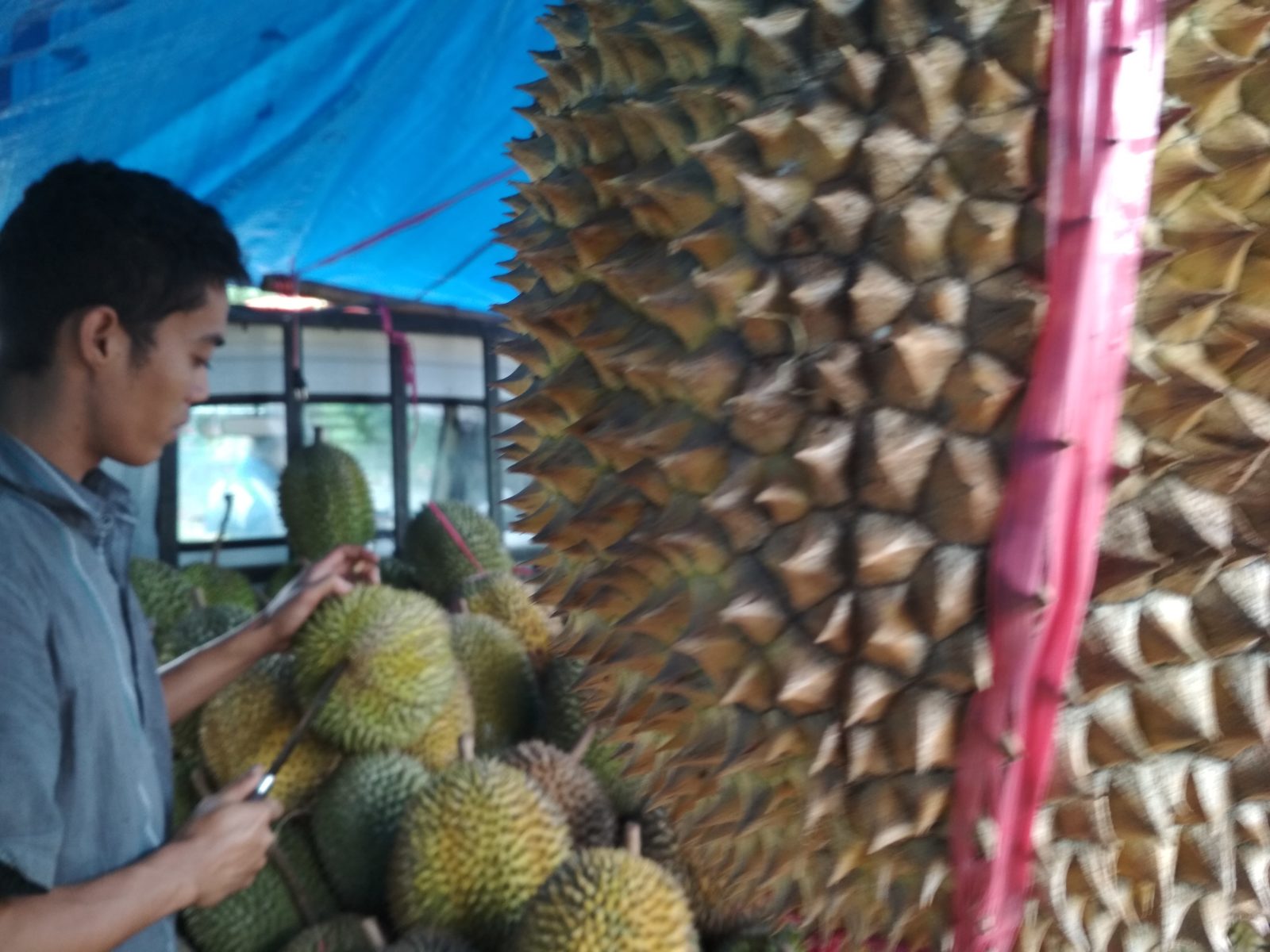Sahmo Farudin, pedagang durian yang mangkal di Kelurahan Temas, Kecamatan Batu. (Wildan Agta Affirdausy/Radar Malang)