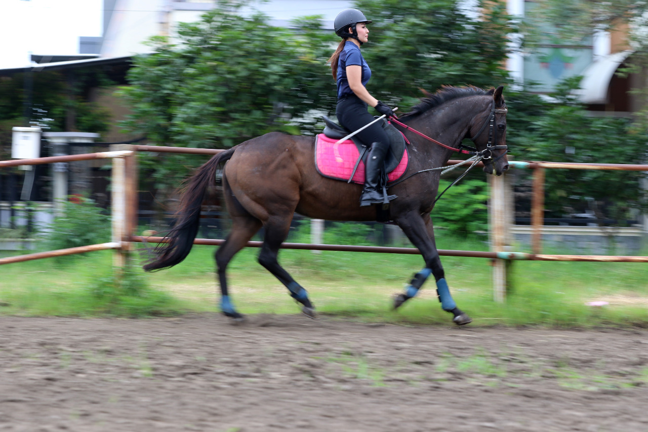 Evi Yusiani latihan berkuda bersama Malang Equestrian Club sejak beberapa waktu yang lalu.(Darmono/Radar Malang)