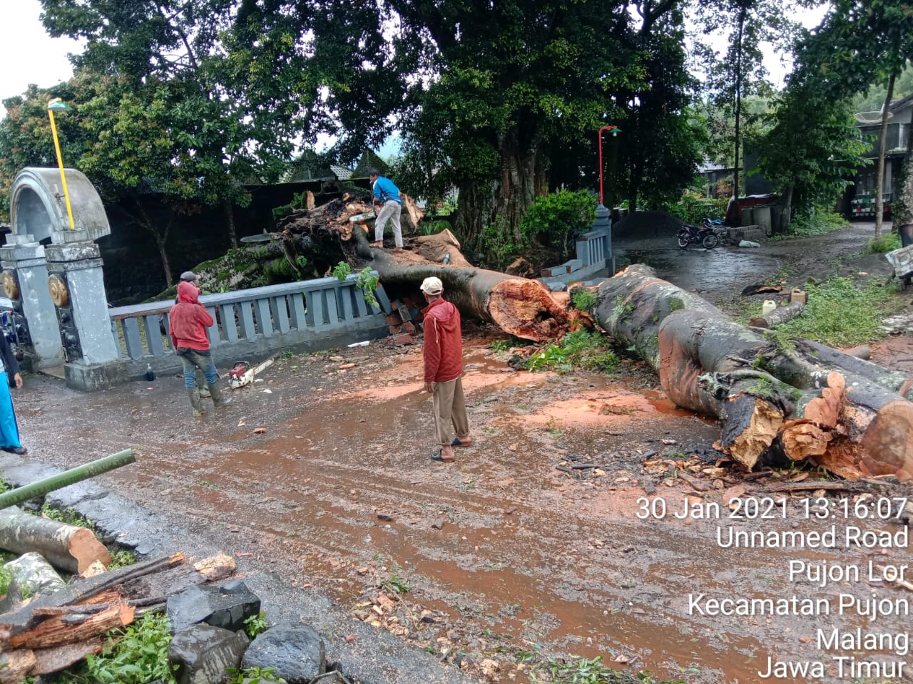 Pohon tumbang menimpa rumah di Pujon (BPBD Kabupaten Malang for Radar Malang)
