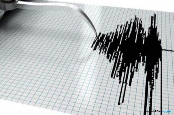 Ilustrasi rekaman gempa (Jawapos)