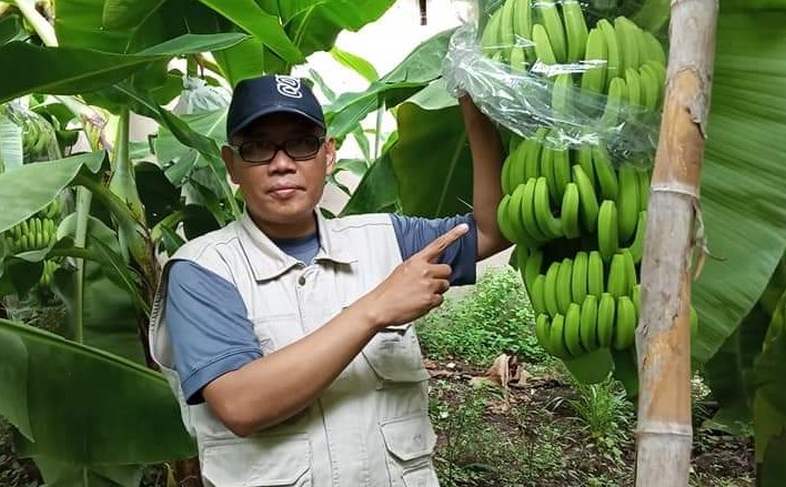 Dr Supriyanto, dosen Unisma yang menjadi sosok guru bagi para petani pisang baik di Malang Raya maupun nasional. (Supriyanto for Radar Malang)