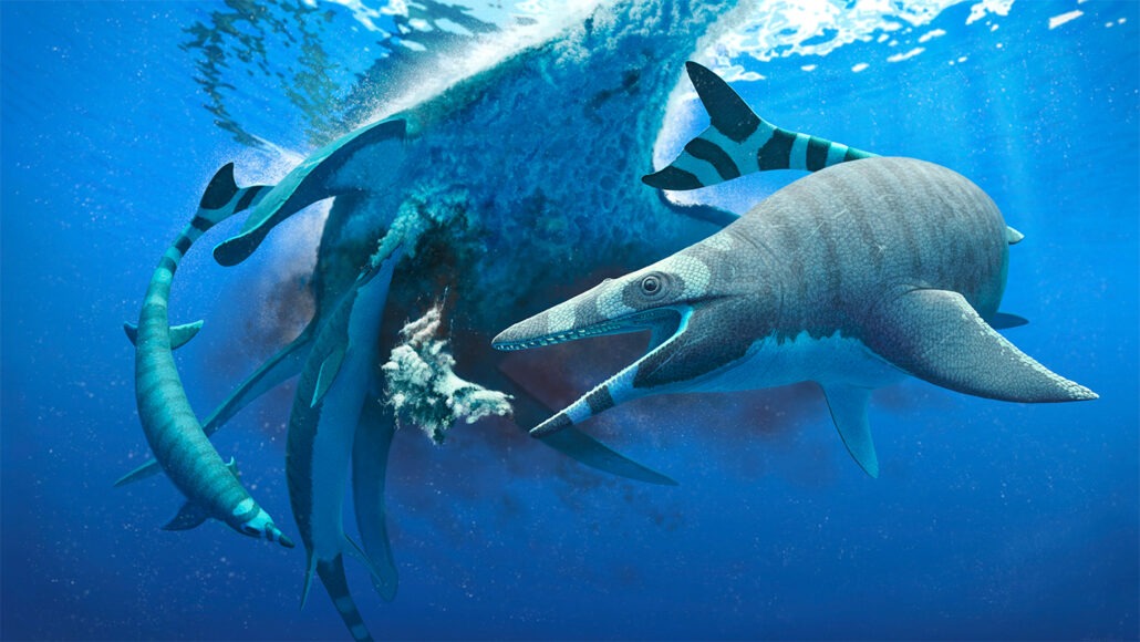 Ilustrasi mosasaurus, reptil laut yang bentuknya mirip antara ular dan biawak (source: sciencenews.org).