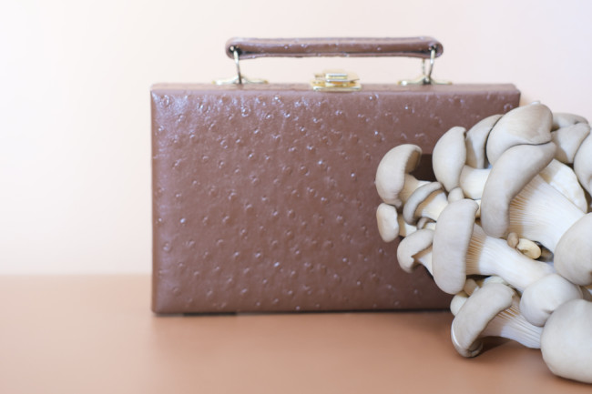 Tas yang dibuat dari bahan jamur yang diposes hingga mirip kulit hewan. (Source: Discover Magazine)