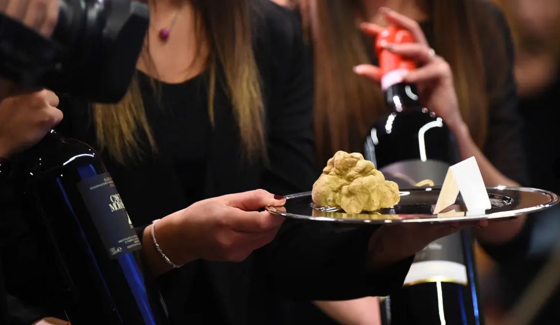 White truffle alba (AFP/ist)