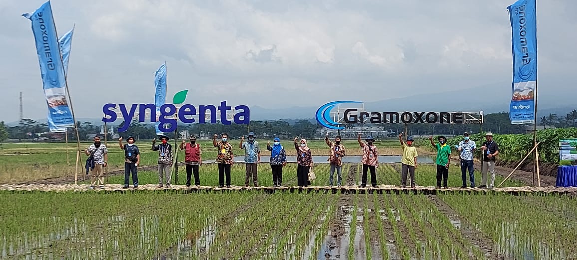 Syngentan dukung percepatan ketahanan pangan dengan bagikan informasi teknologi pertanian ke petani di Kabupaten Malang (ist)
