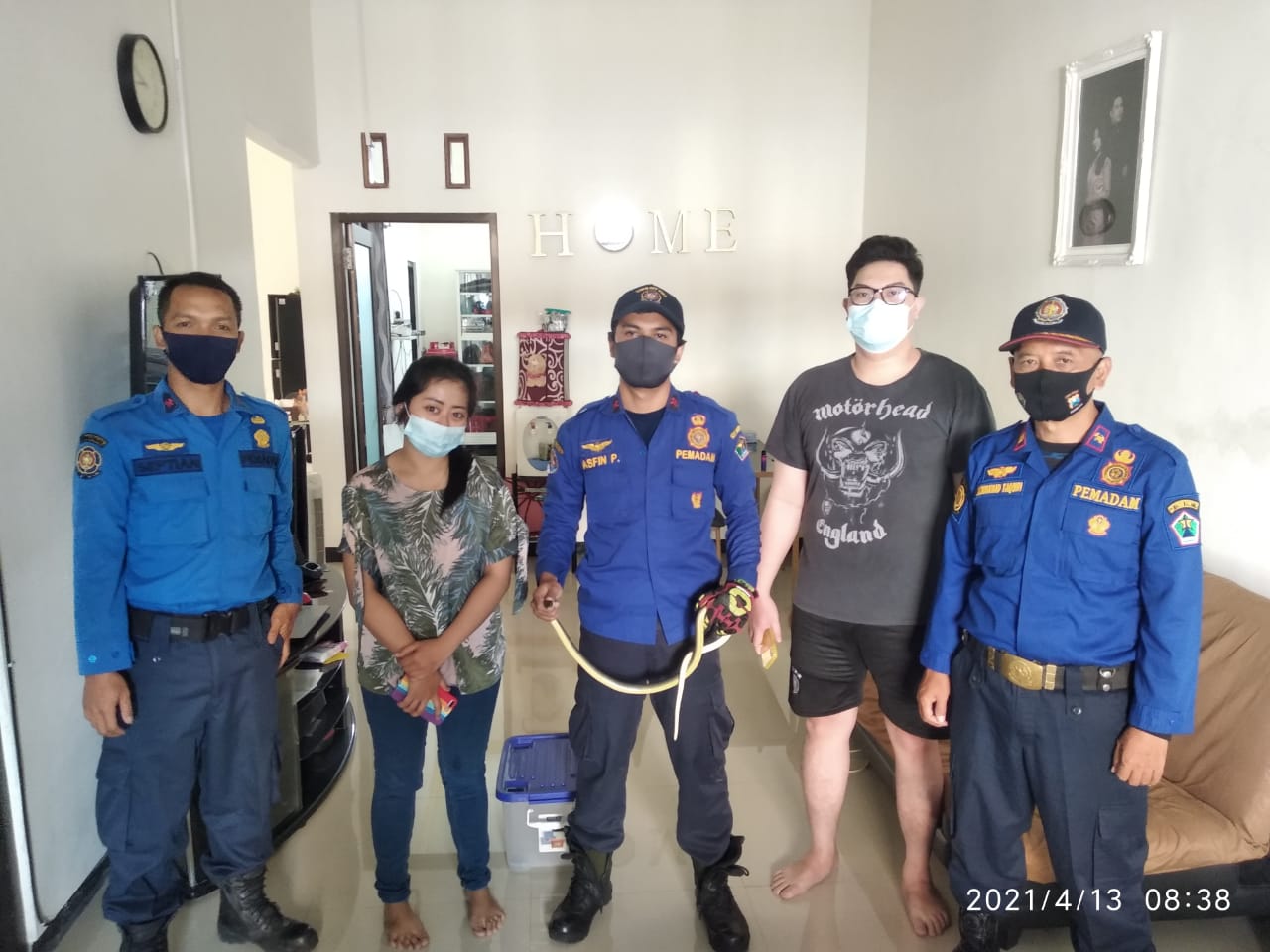 Petugas pemadam kebakaran mengevakuasi ular dari rumah warga di Kecamatan Sukun, Kota Malang (ist)