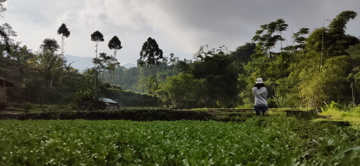 Ilustrasi forest bathing (Inifia/Radar Malang)