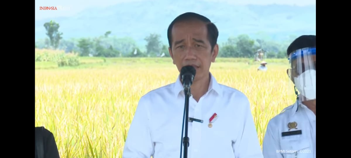 Presiden Jokowi saat meninjau pertanian di Kanogor, Kabupaten Malang (ist)