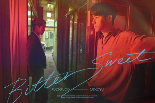 Dua member unit rap SEVENTEEN, Wonwoo dan Mingyu resmi merilis single digital pada Jumat lalu (28 /5). (ist)