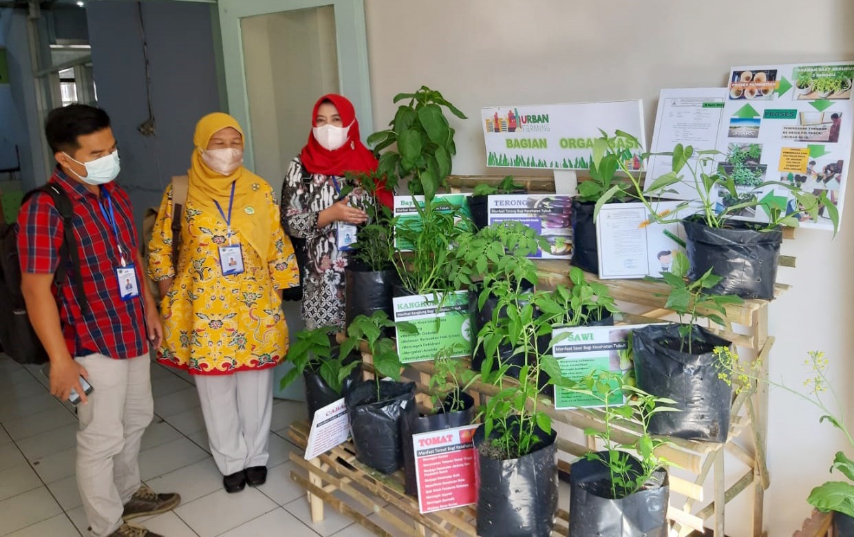 Tim juri Lomba Urban Farming mengamati tanaman sayur-mayur di Bagian Organisasi Setda Kota Malang kemarin (27/5). (Darmono / Radar Malang)