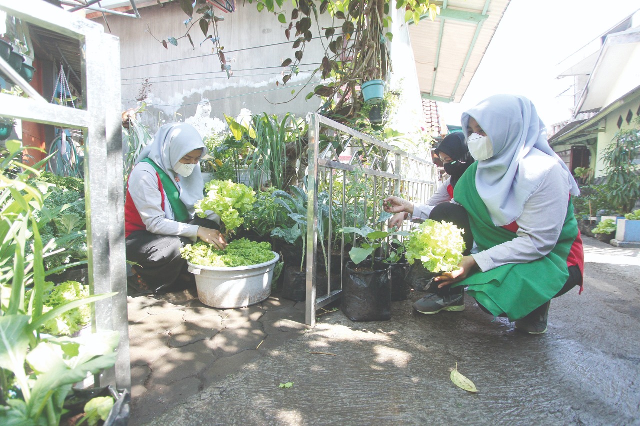 Warga Dinoyo menata tanaman yang siap dijual  (ist)